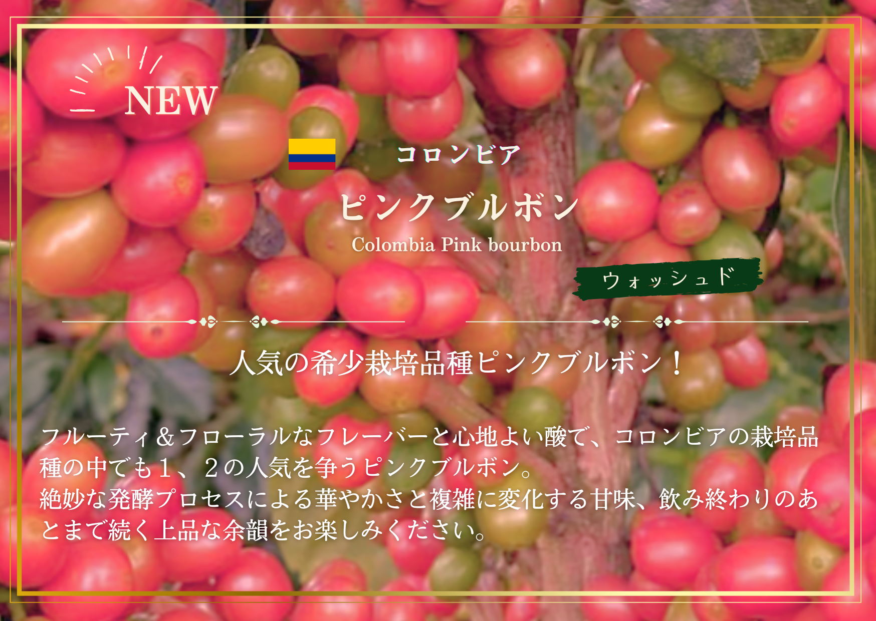 コロンビア　ピンクブルボン　5kg コロンビア ・ピンクブルボン – LOQUAT CoffeeRoaster
