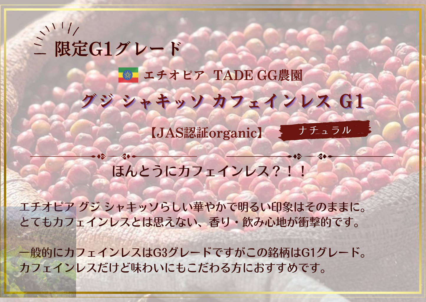 エチオピア・グジ シャキッソ カフェインレス G1 【decaf】