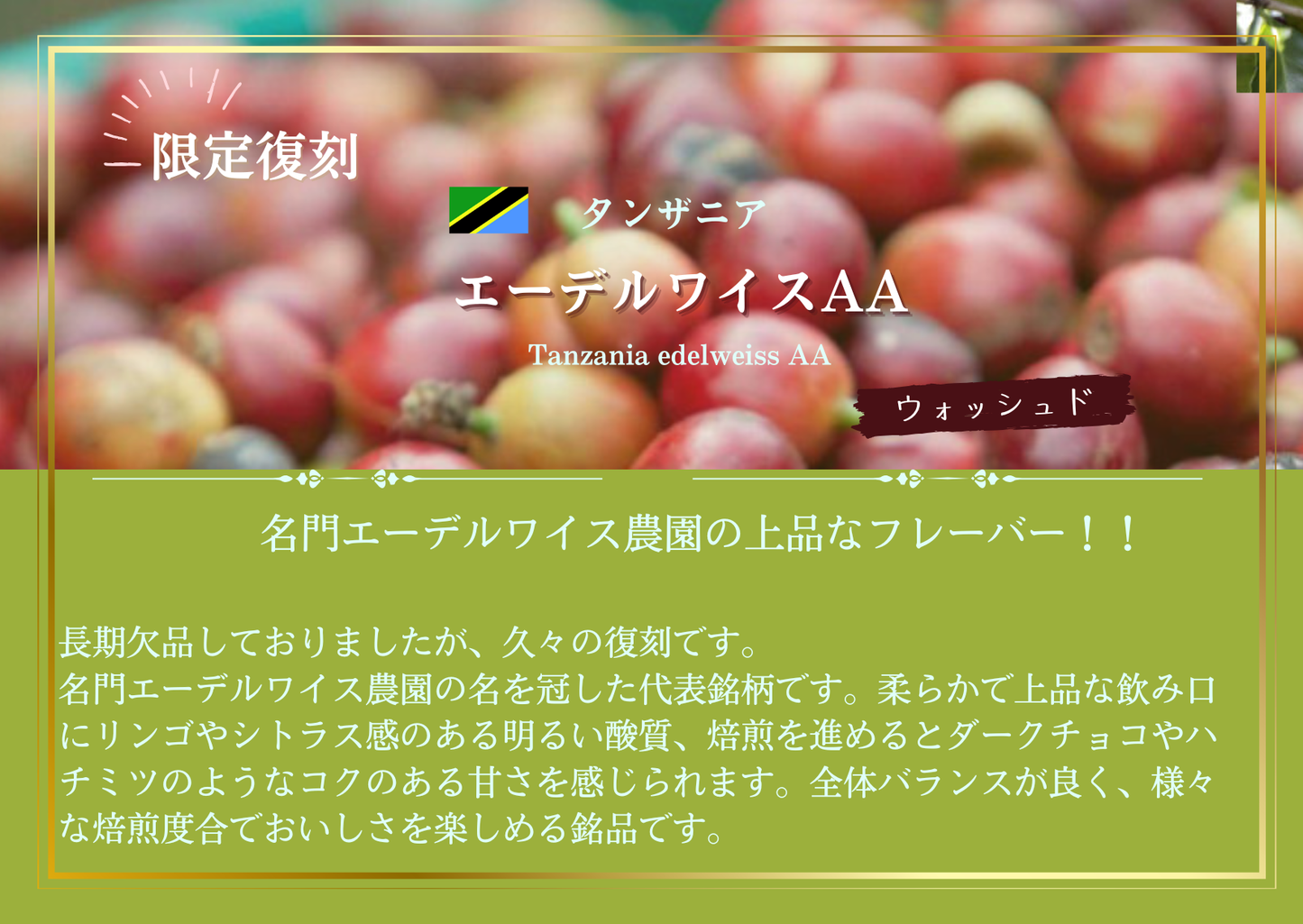 タンザニア・エーデルワイス AA