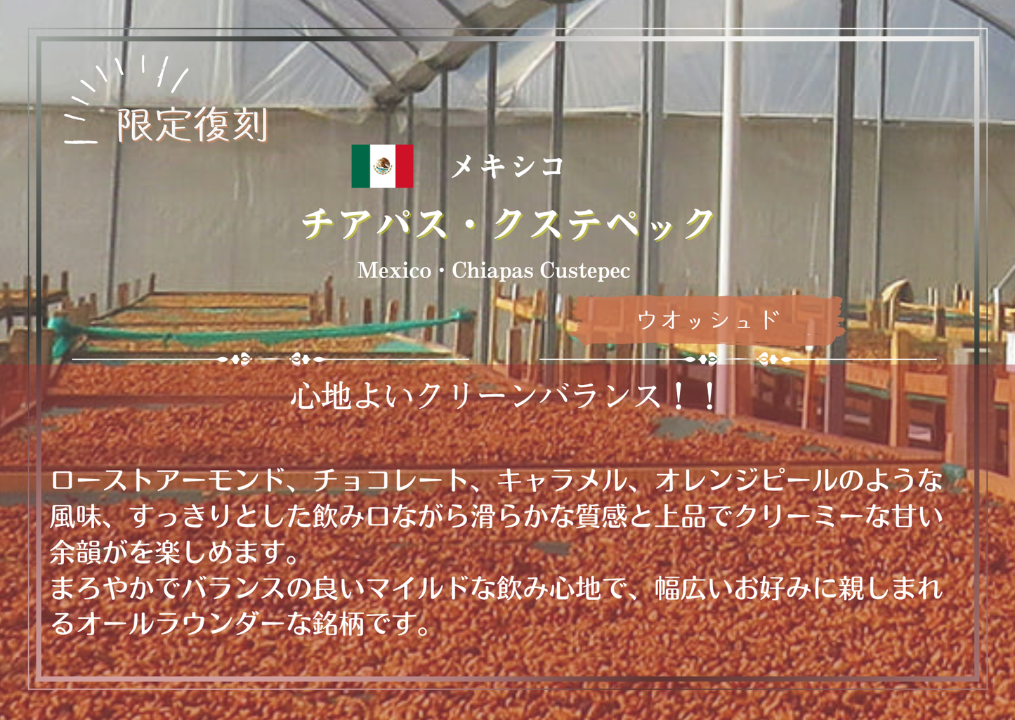 メキシコ・チアパス・ クスペテック