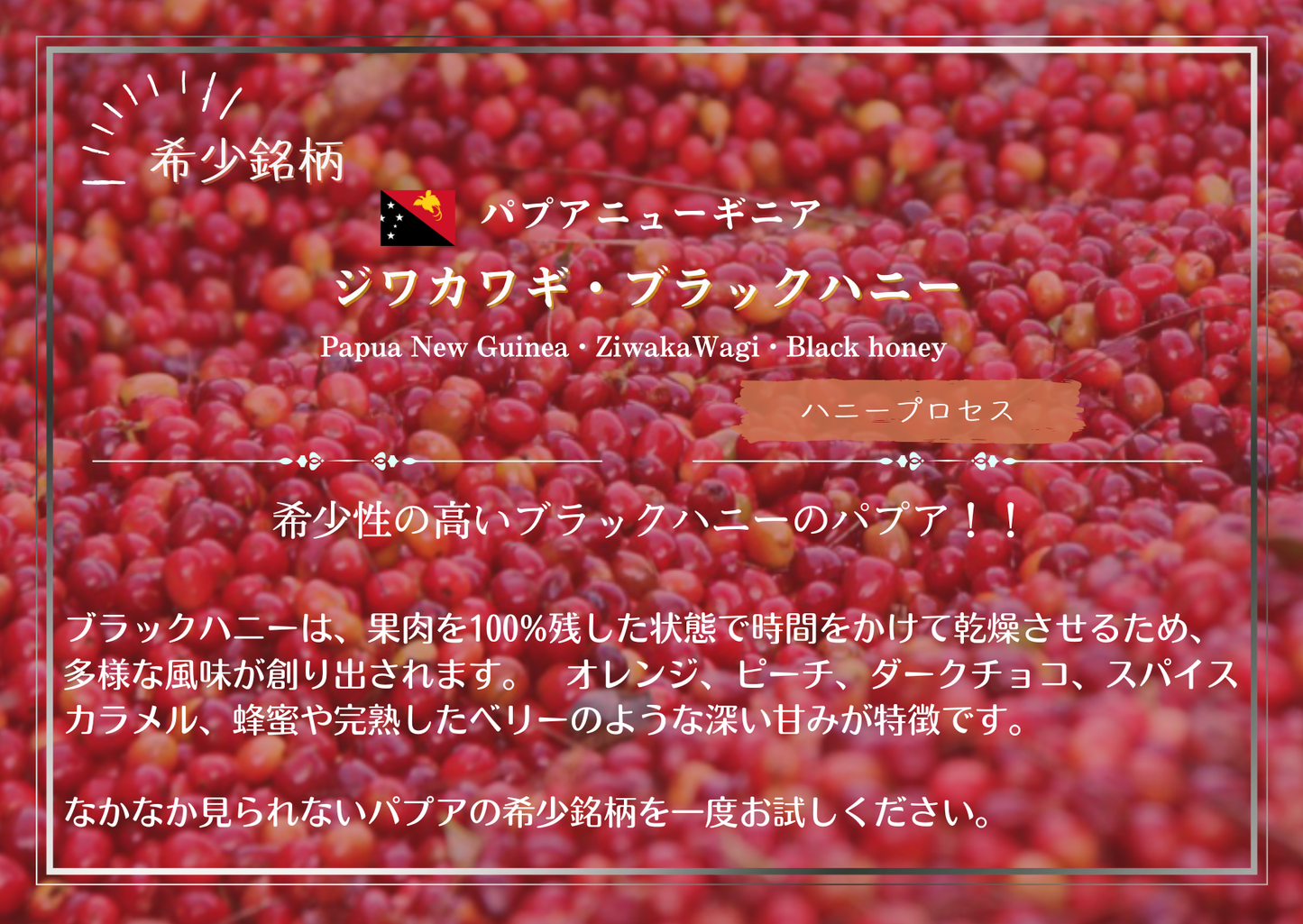 パプアニューギニア・ジワカワギ・ブラックハニー