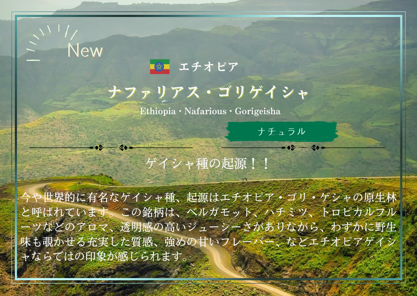 エチオピア・ナファリアス・ゴリゲイシャ