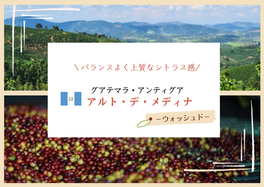 グアテマラ・アンティグア 【生豆240g焙煎／焙煎後約200g】