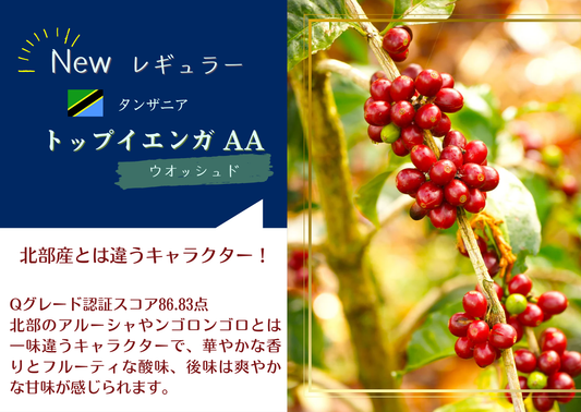 タンザニア・トップイエンガAA