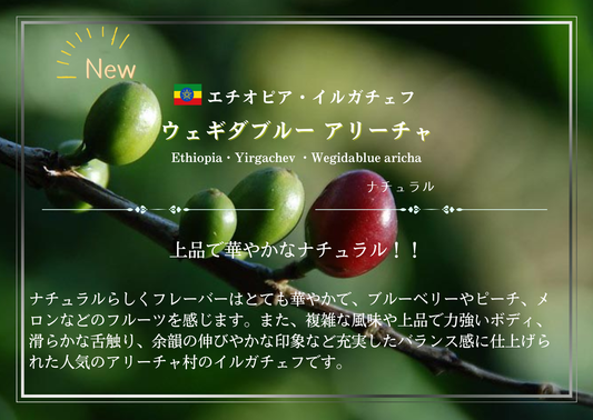 エチオピア・イルガチェフ・ウェギダブルー アリーチャ