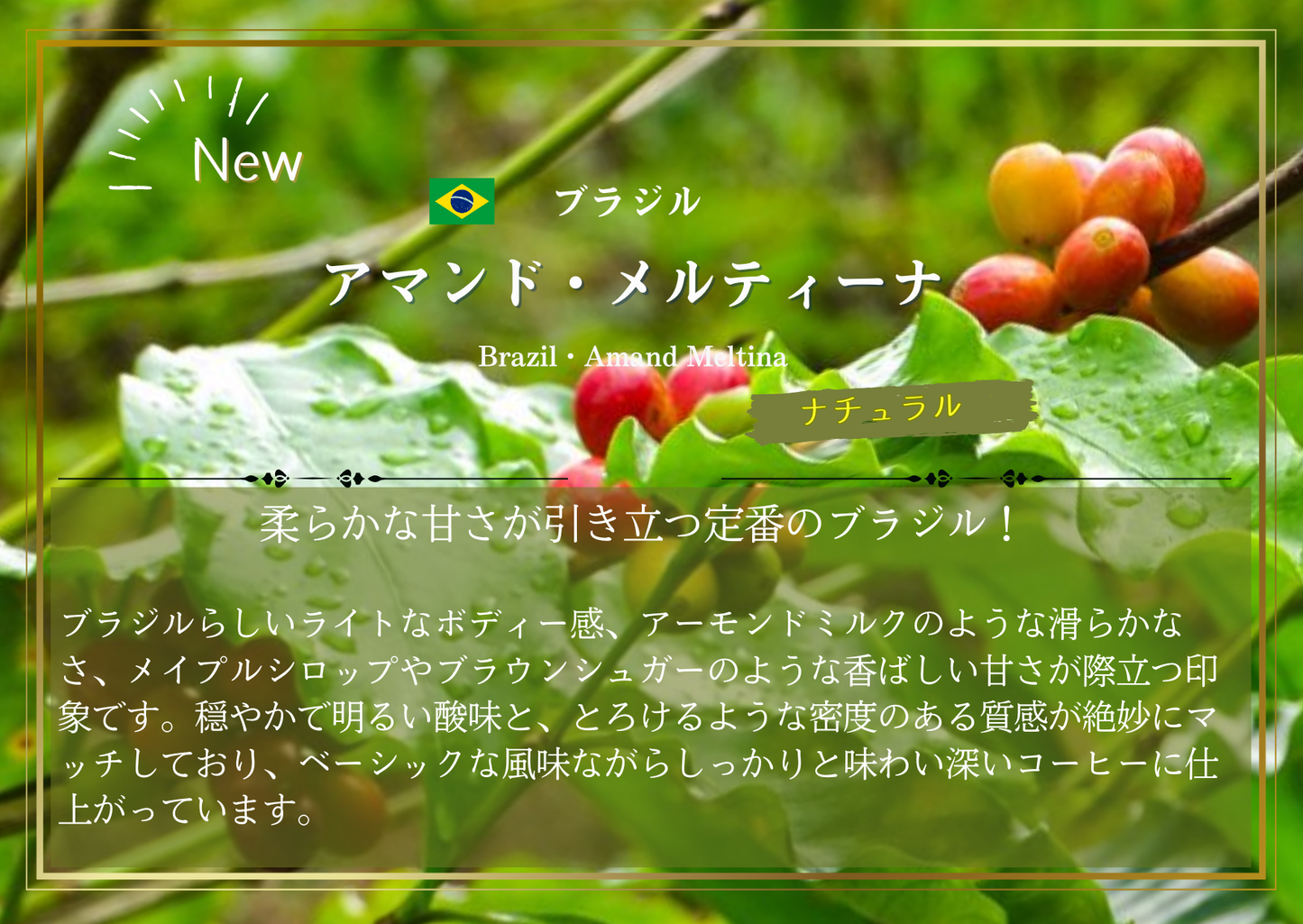 【３st Anniversary ３‐Drip set 】