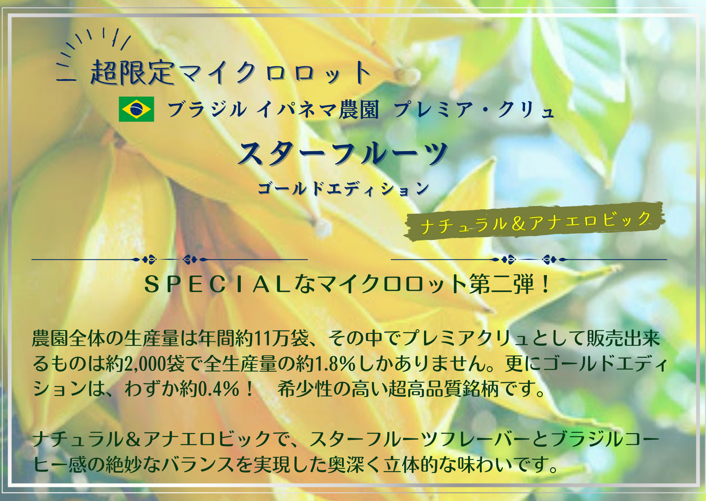 ブラジル・ プレミアクリュ・スターフルーツ