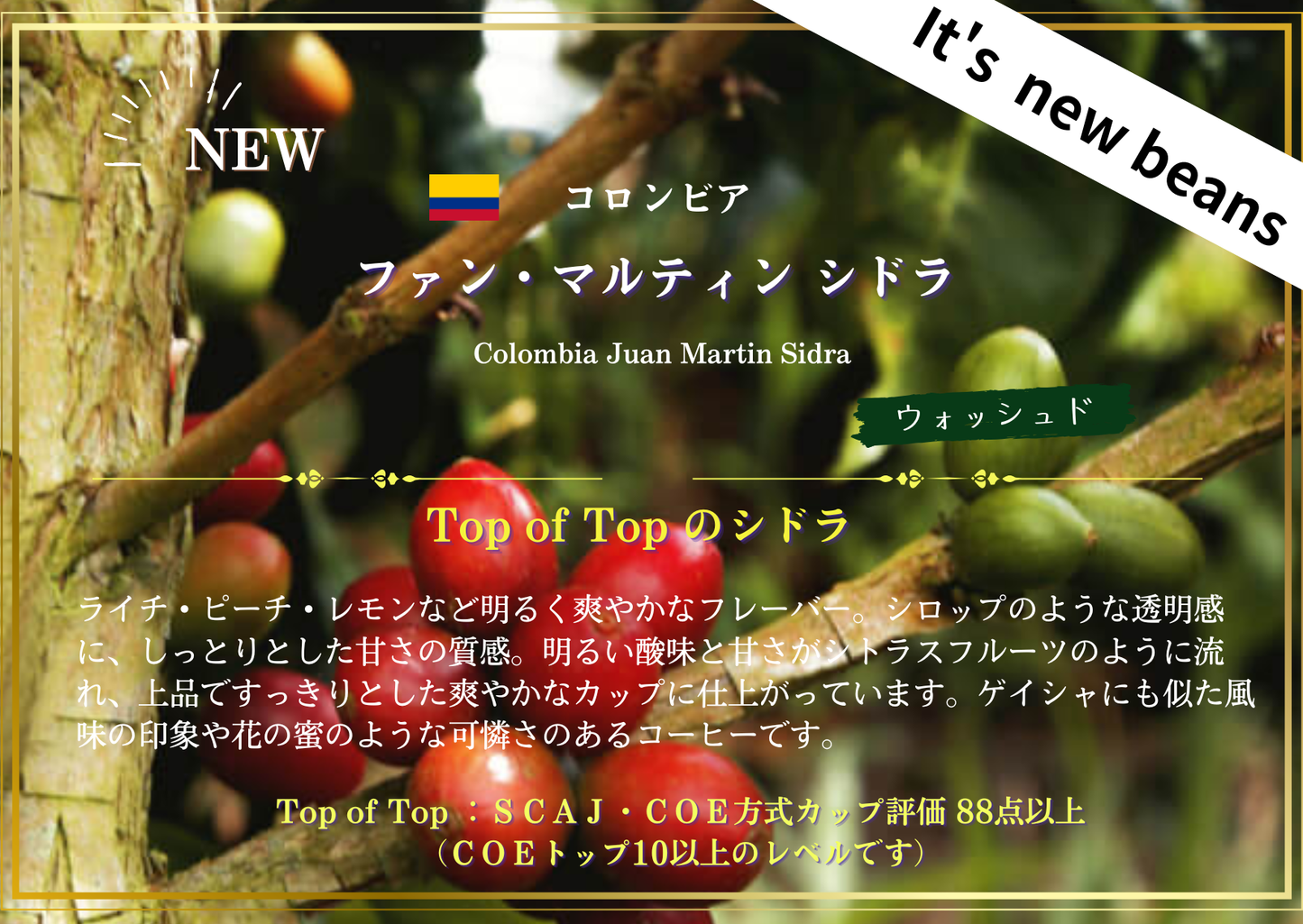 コロンビア・ファン・マルティン シドラ