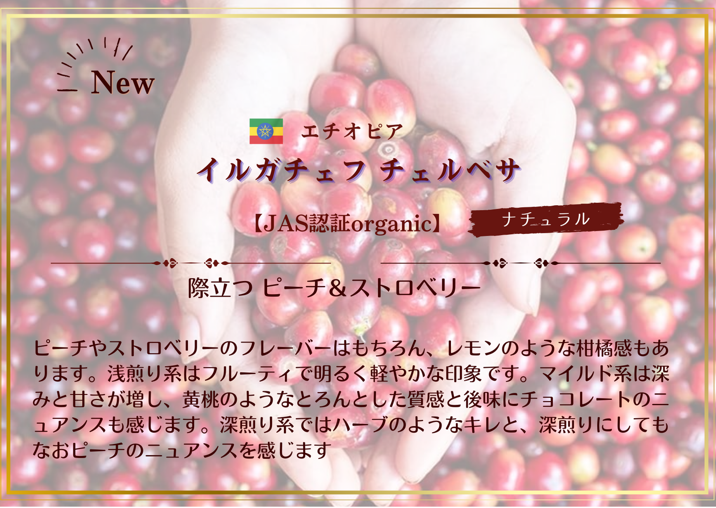 エチオピア・イルガチェフ チェルベサ