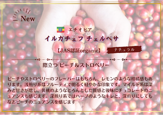 エチオピア・イルガチェフ チェルベサ