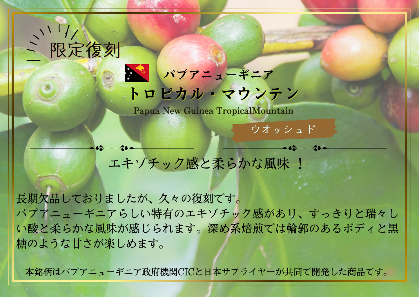 パプアニューギニア・トロピカルマウンテン