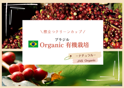 ブラジルorgnic  100g