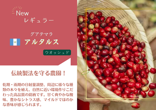 グアテマラ・アルタルス